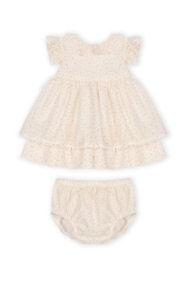 Newborn Dress With Panties