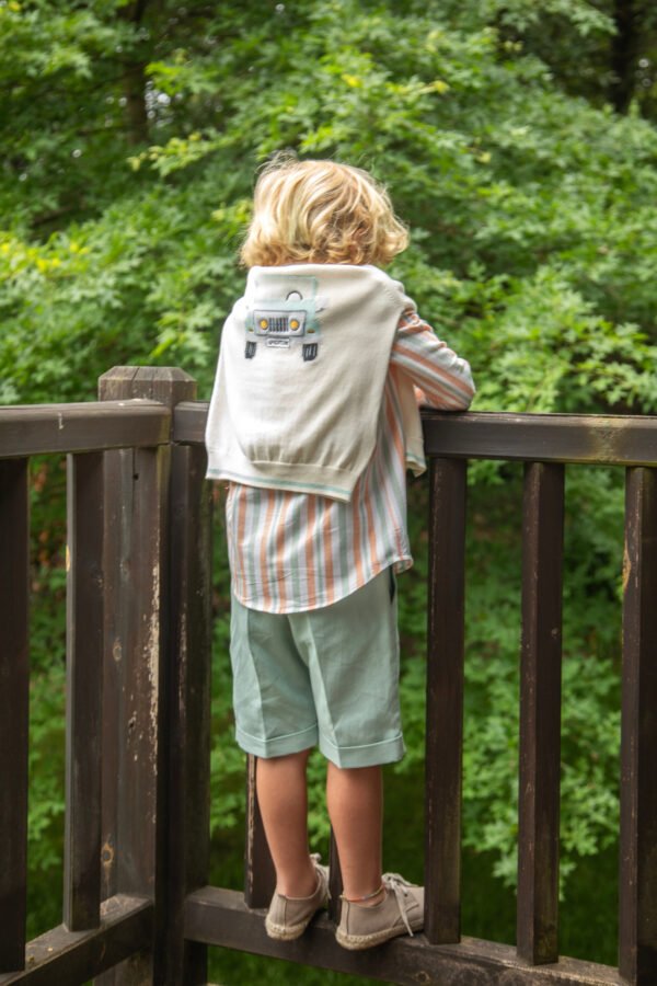 Baby Boys Sweater